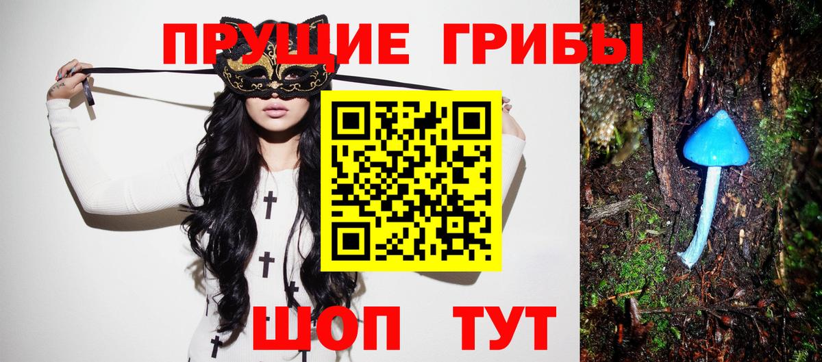 Псилоцибиновые грибы ЛСД Саранск