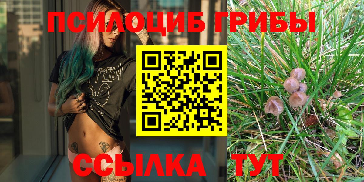 Саранск  где можно купить   Псилоцибиновые грибы Psilocybine cubensis  Вход с VPN  Псилоцибиновые грибы мицелий 